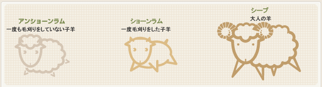 スプリングラム の アンショーンラム