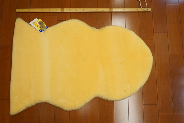 メディカルフリース１匹物の表面